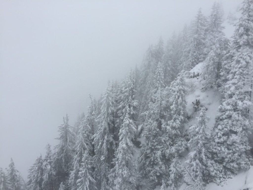 ski_printemps_2