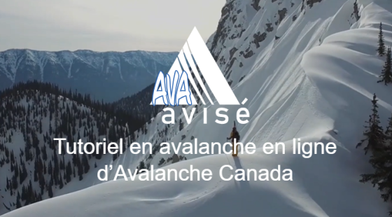 Capture Ava Avisé compact