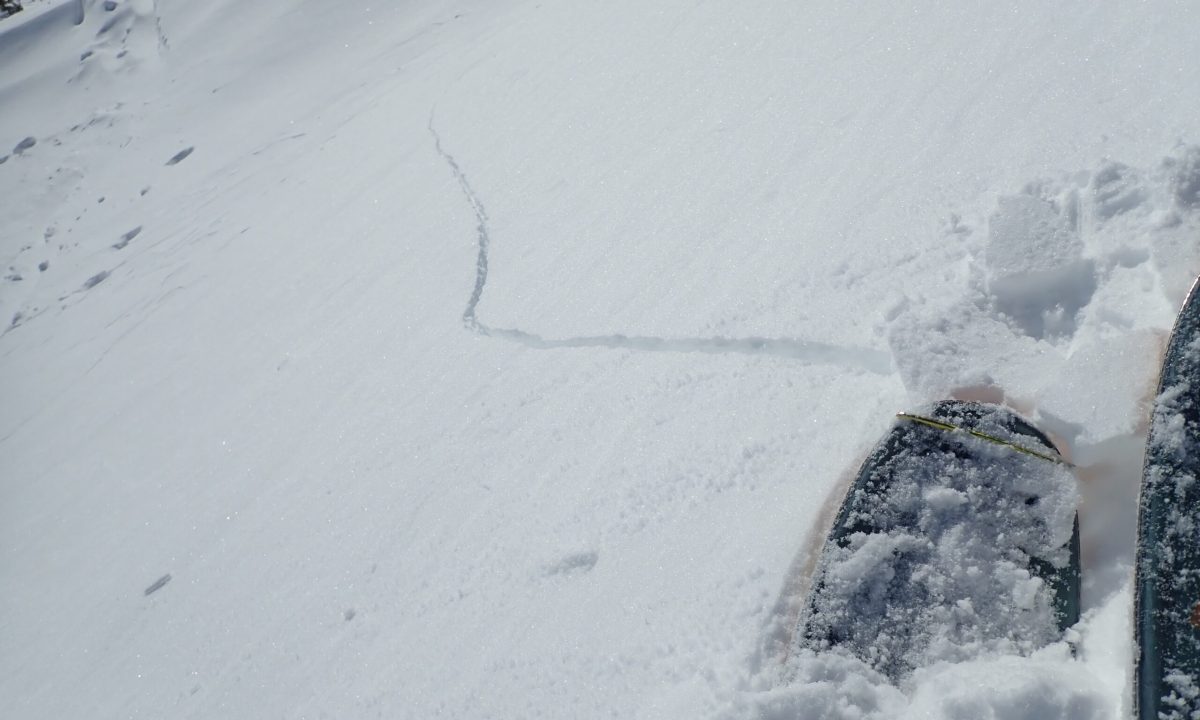 Les bruits sourds (le bruit que fait la neige lorsqu'elle s'effondre) et les fissures indiquent que l'état du manteau neigeux est propice au déclenchement d'une avalanche, à condition que la pente soit suffisamment raide et que le terrain soit dégagé. Les fissures indiquent la présence d'une plaque de neige, et les pentes raides situées à proximité sont susceptibles de déclencher des avalanches et doivent donc être évitées.