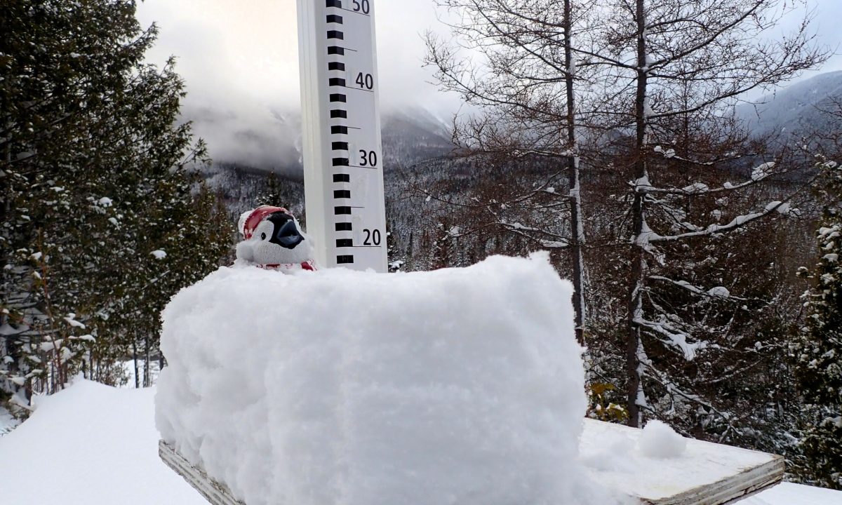 S'il neige abondamment — plus de 2 cm par heure — pendant plusieurs heures, vous pouvez être sûr que le risque d'avalanche augmentera.